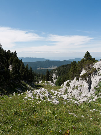 La Draye des Bergers