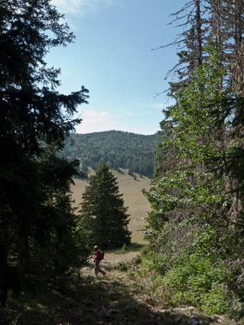 Débouché dans la Prairie de Darbounoiuse