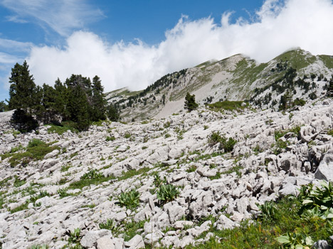 Lapiaz sous les Rochers de la Peyrouse