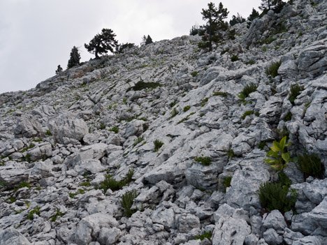 Sous les Roches Rousses