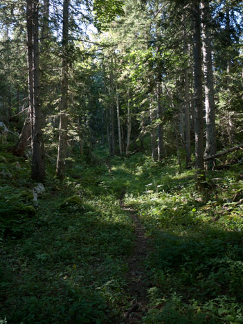 Purgatoire, le sentier des Charbonniers