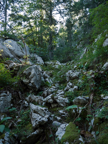 Purgatoire, talweg des Charbonniers