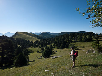 Tête de Praorzel