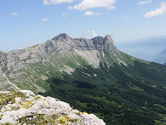 Grande Moucherolle et Agathe, la Grande Sœur