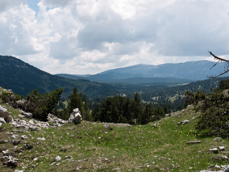 Hauts-Plateaux du Vercors