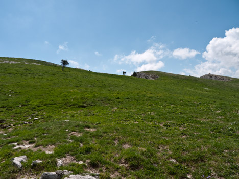 Pelouse des Rochers du Parquet