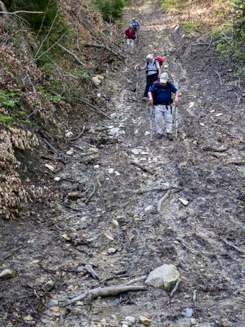 Descente des Vereires