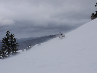 Neige soulevée par le vent