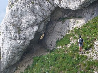 Trou de souris peu après le Col de l'Arc