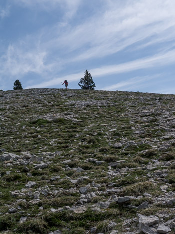 Sous le Sommet de la Montagnette