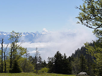 À travers le versant Sud de la Sure