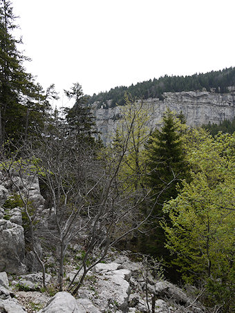 Vieux sentier et falaise de la Draye des Communaux