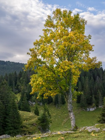 L'Alpette en automne