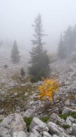 Brouillard sur le Purgatoire