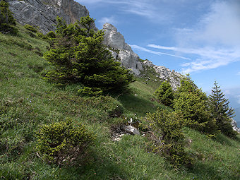 Sous le ressaut Nord de Chamechaude