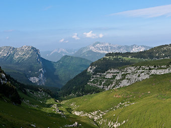 Dans le Vallon de Pratcel