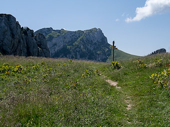 Col de Léchaud