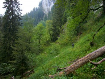 Sous les Rochers de Montheur