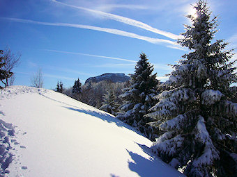 Sur la crête du Mont Joigny