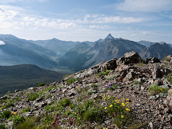 Le Grand Pic de Rochebrune à l'horizon