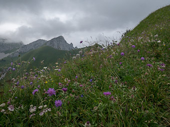 Sous la Pointe de Bénevent