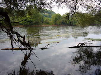 La Dordogne, Calviac en Périgord