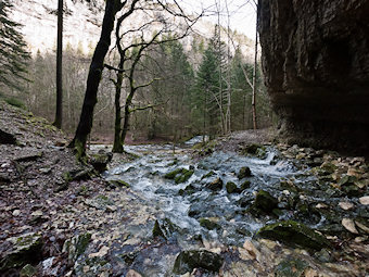 Confluent dans le Vallon du Bruyant