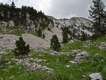 Ruine sous les Rochers du Ranc Traversier