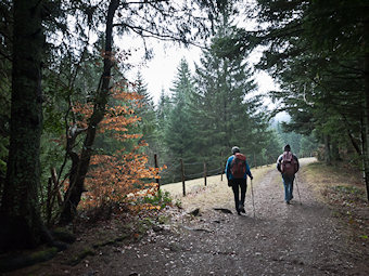 Vers la Croix du Lichou