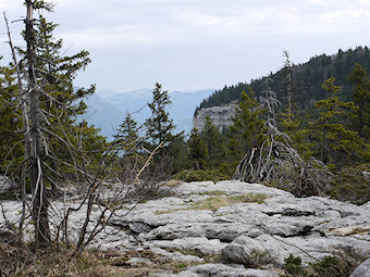 Combe du Gouffre Berger