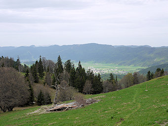 La ruine de Plénouze