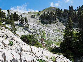 Sous les crêtes des Rochers du Ranc Traversier