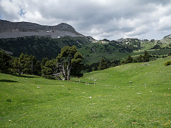 Le Sommet de la Montagnette