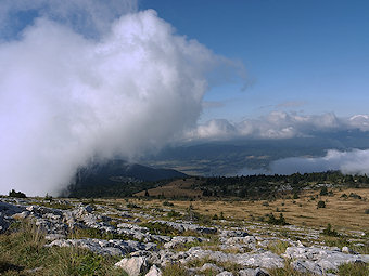 Lapiaz et alpage du plateau des Ramées