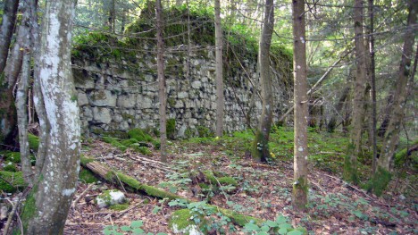 060922-aps-recorba-maladrerie.jpg