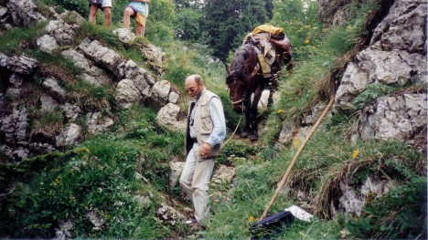930701-chartreuse-petite-vache-col-riquita.jpg
