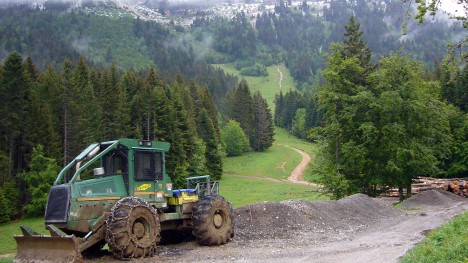 070601-chartreuse-chamechaude-versant-ouest.jpg