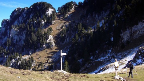 071107-chartreuse-col-bovinant-dent-ours.jpg
