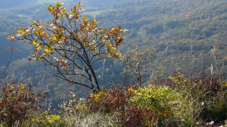 081018-bugey-innimond-belvedere-roche.jpg