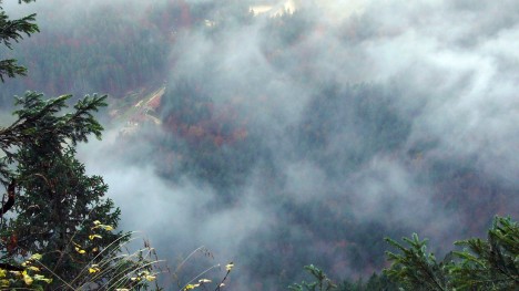 081025-chartreuse-tracarta-saint-meme.jpg