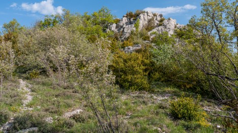 100523-baronnies-rochers-mindrits.jpg