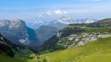 100628-chartreuse-col-alpe-grand-som.jpg