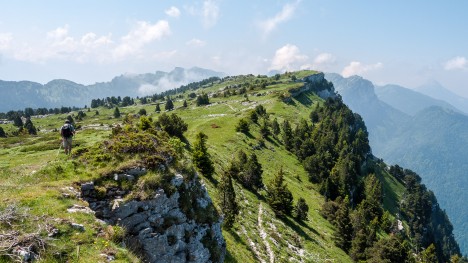 100630-chartreuse-pinet-chemin-foudablanc.jpg