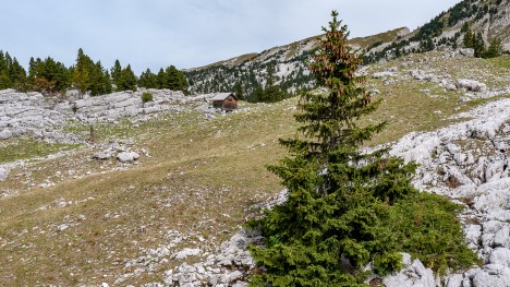 100914-vercors-purgatoire-piste-charbonniers-cabane.jpg