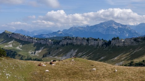 100921-chartreuse-rocher-lorzier-grand-som.jpg