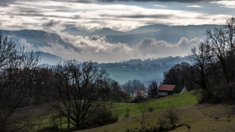 101124-aps-bois-glaize-labully-contrejour.jpg
