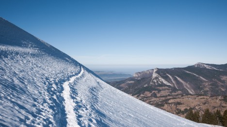 110210-chartreuse-habert-dame-trace.jpg