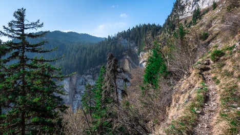110421-chartreuse-granier-porte-alpette-chemin.jpg