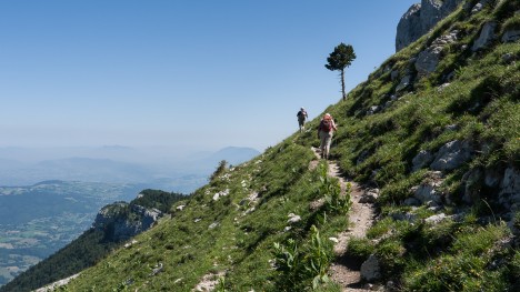 110627-chartreuse-grande-sure-sous-jusson.jpg