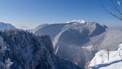 120206-chartreuse-ruchere-prairie-arpison-belvedere.jpg